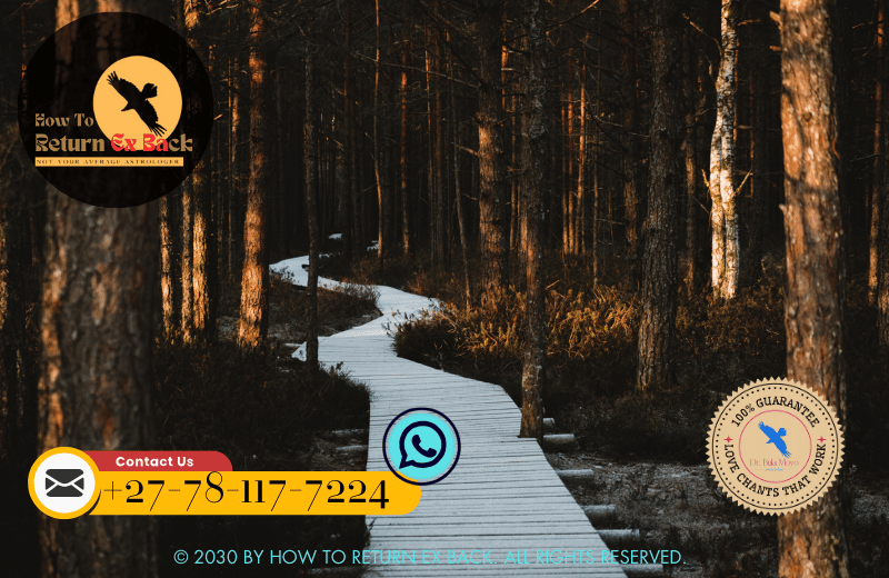 Reconciliation rituals for clearing past hurts and renewing connections in relationships (2)